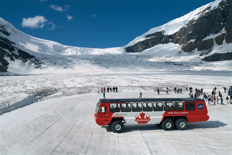 Columbia Icefield Discovery - Banff to Jasper